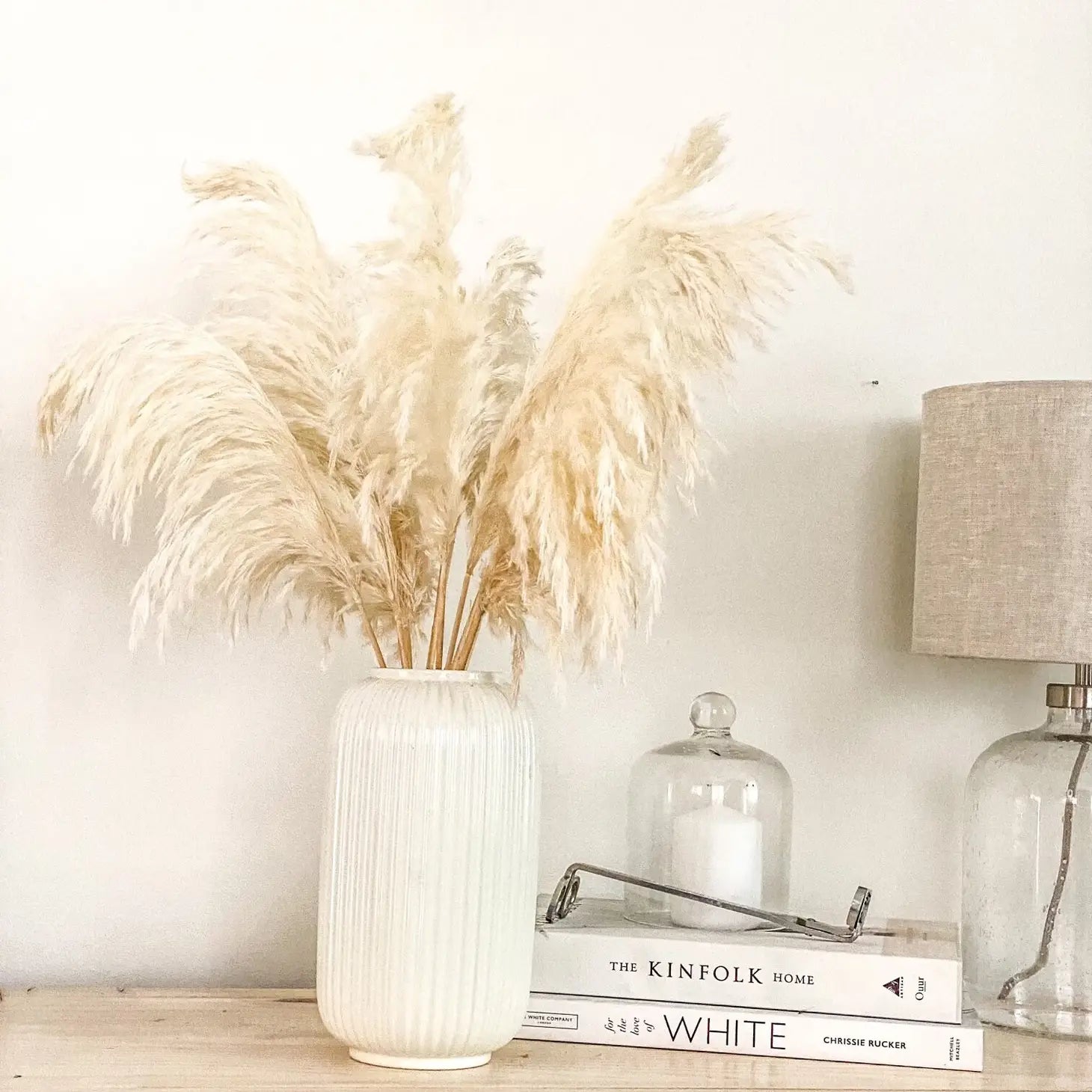 White decorative pampas grass